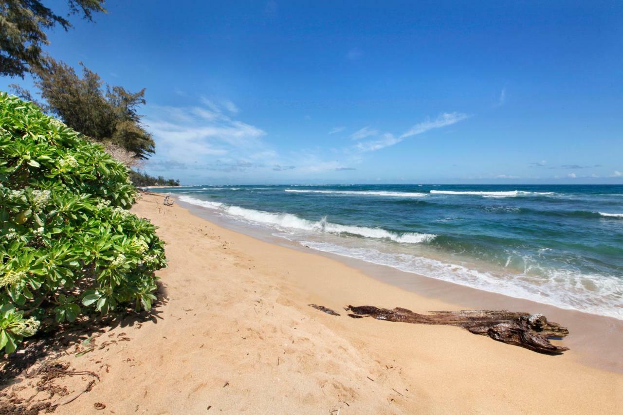 Islander On The Beach 352 Oceanfront *Penthouse* Ac Pool Kapa'a Exteriér fotografie
